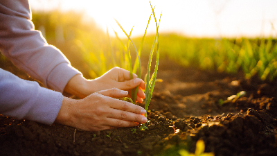 A iniciativa visa discutir a relação entre agricultura, ambiente e alterações climáticas, destacando os principais desafios e oportunidades (Foto: Getty Images)